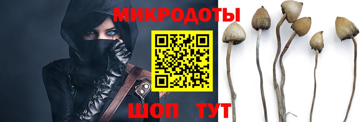 Псилоцибиновые грибы MAGIC MUSHROOMS  Псилоцибиновые грибы мухоморы  Тавда  Вход с VPN 